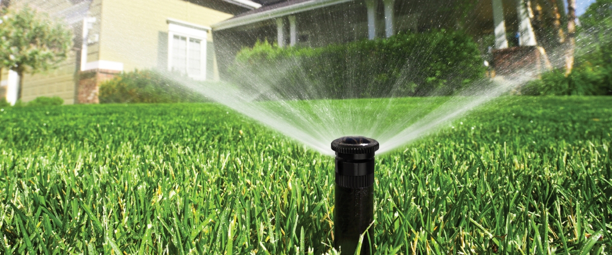 Spray sprinkler close up covering front yard