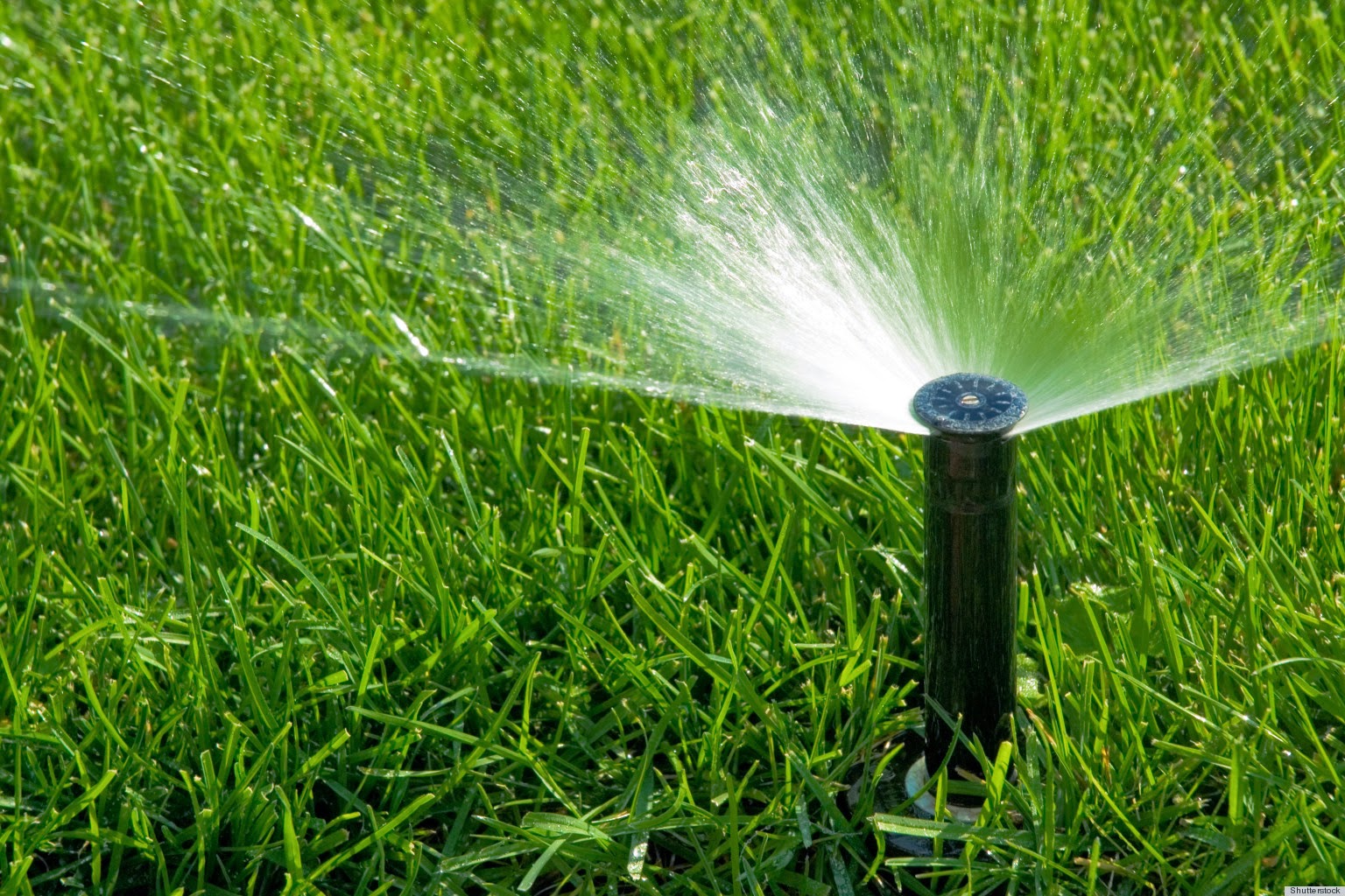 black sprinkler green grass